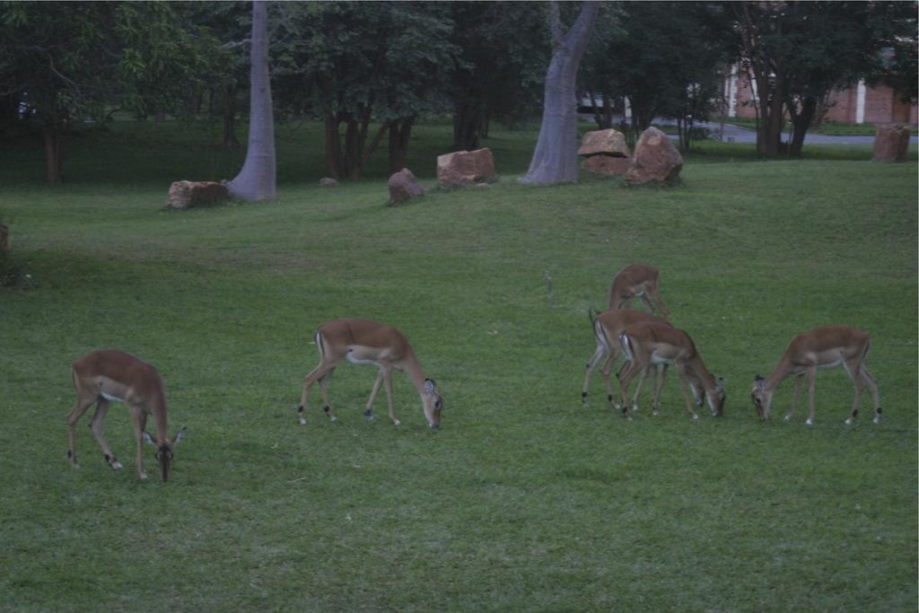 M'Kango Golfview Hotel Лусака Экстерьер фото